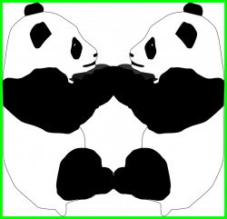 Fascinating Panda Baby Cute Two Transparent Image Picture For Bear ...