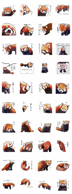 LINE Creators' Stickers - Watercolor red panda sticker