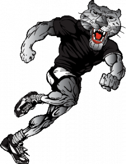 Free Panther Clipart, Download Free Clip Art, Free Clip Art ...