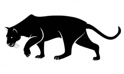 Cute Panther Drawing | Free download best Cute Panther ...