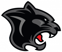 Download Panther PNG File - Free Transparent PNG Images, Icons and ...