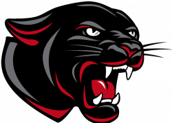 Images of Panthers Logo Png - #SpaceHero