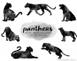 Panther watercolor clipart, watercolor panther clipart, commercial use,  digital download, panther silhouette png clip art, animals