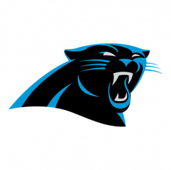 Shop Carolina Panthers Caps & Beanies | Hatstore.co.uk