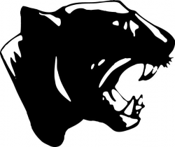 Free Panther Head Cliparts, Download Free Clip Art, Free ...