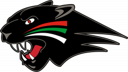 Augsburger Panther Head Logo transparent PNG - StickPNG
