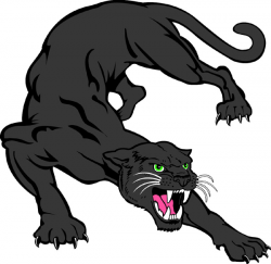 Panthers Clipart | Free download best Panthers Clipart on ...