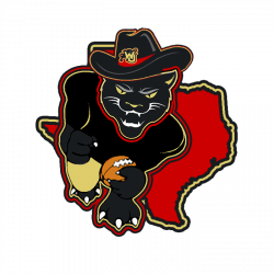 Panther Pride Games Collection on Behance