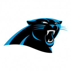 Carolina Panthers Caps & Hats Online - Hatstoreworld.com