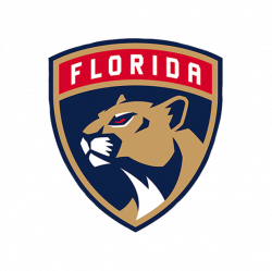 Florida Panthers Caps & Hats Online - Hatstoreworld.com