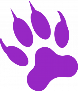 Gray wolf Black panther Cougar Panthera Paw - Dream purple catlike ...