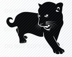 Black Panther SVG Files For Cricut - Black & white Vector Images - Baby  Panther Clip Art SVG Eps, Png, dxf Stencil ClipArt Cat Silhouette