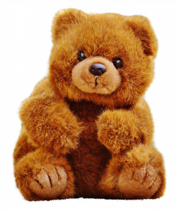 Teddy Bear PNG Transparent Image - PngPix