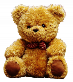 Teddy Bear PNG Image - PngPix
