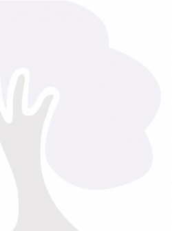 Parents' Evening » Torkington