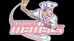 The NAHL, America's second-best junior hockey league, relocates team ...