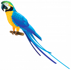 Blue Parrot PNG Clipart - Best WEB Clipart