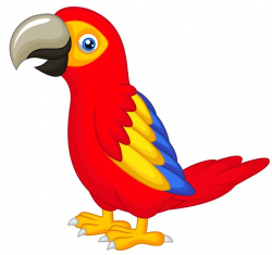 parrot clipart 9 | Clipart Station