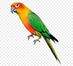 Parrot Bird Clip art - Large Parrot Clipart png download - 828*1029 ...