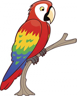 Amazon.com: Cool Perched Rainbow Macaw Parrot Bird Cartoon ...