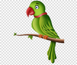 Bird Parrot clipart - Bird, Parrot, Green, transparent clip art