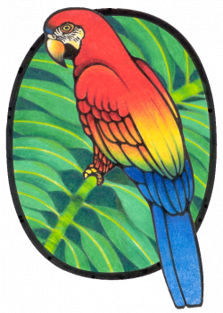 Parrot Graphics | PicGifs.com