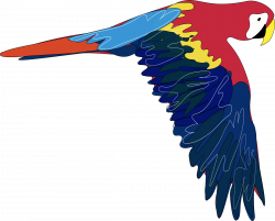 guacamaya Icons PNG - Free PNG and Icons Downloads