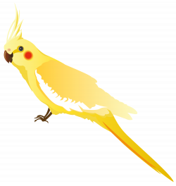 Yellow Parrot PNG Clipart - Best WEB Clipart