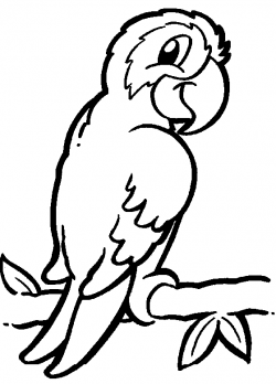 27+ Parrot Clipart Black And White | ClipartLook