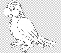 Parrot Bird Black And White PNG, Clipart, Animals, Artwork ...