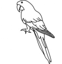 Parrot Clipart Black And White | Clipart Panda - Free ...