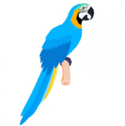 Search Results for parrot clipart - Clip Art - Pictures ...