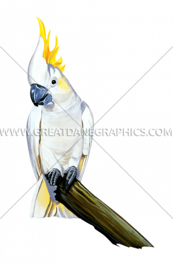 Cockatoo | Production Ready Artwork for T-Shirt Printing