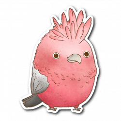 Galah Cockatoo Sticker – Pickles the Cockatoo