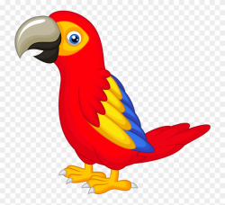 Drawing With Colour At Getdrawings Com Free - Parrot Clip ...