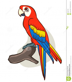 Parrot Clipart | Free download best Parrot Clipart on ...