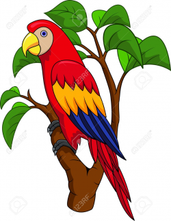 Parrots Clipart | Free download best Parrots Clipart on ...