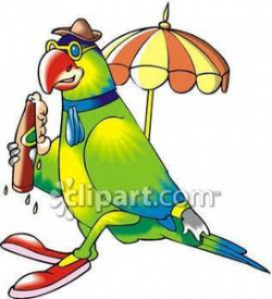 A Parrot Drinking Beer - Royalty Free Clipart Picture