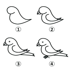 Collection of Parrot clipart | Free download best Parrot ...