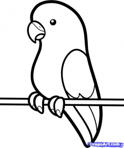 Parrot Clipart Easy