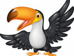Parrot Clipart Toucan - Png Download - Full Size Clipart ...