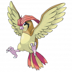 Pidgeotto - 017 - The claws on its feet are well developed. It can ...