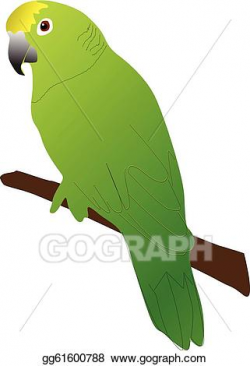 Vector Stock - Green parrot. Clipart Illustration gg61600788 ...
