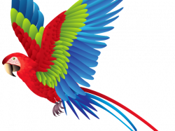 Parrot Cliparts Free Download Clip Art - carwad.net