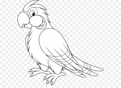 Download Free png Parrot Clip art Bird Image Black and white ...