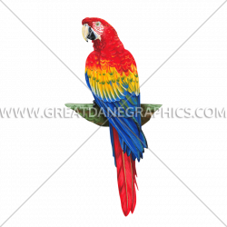 Tri Color Macaw | Production Ready Artwork for T-Shirt Printing