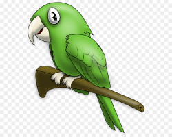 Bird Parrot clipart - Parrot, Bird, Feather, transparent ...