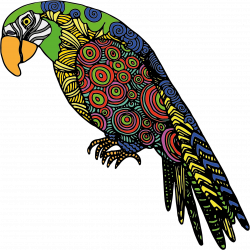 Clipart - Detailed Parrot