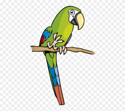 Parrot Clipart Amazon Parrot - El Loro Verde Dibujo - Png ...