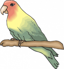 Peachfaced Lovebird Clip Art at Clker.com - vector clip art online ...